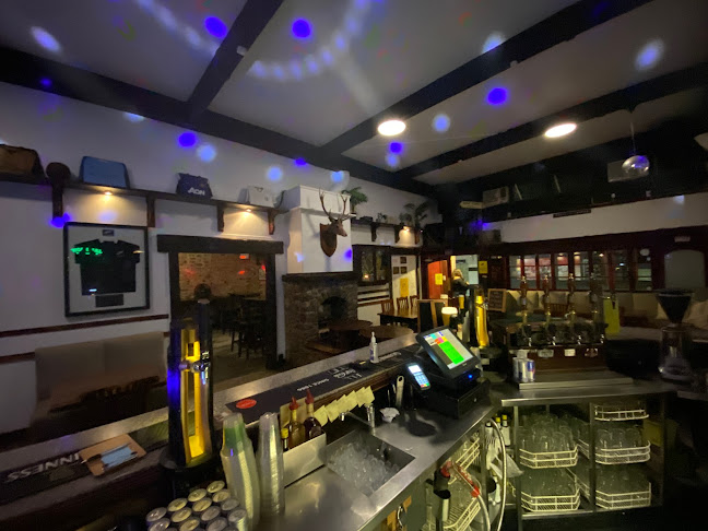 The Irish Wolf - Hospitality and gastronomy