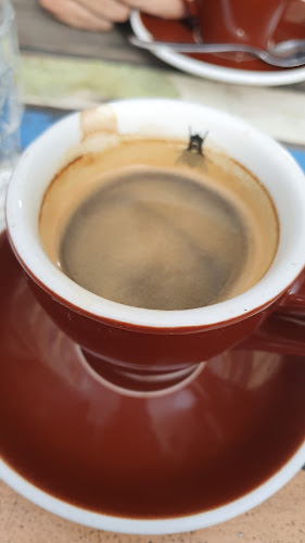 C1 Espresso - Hospitality and gastronomy