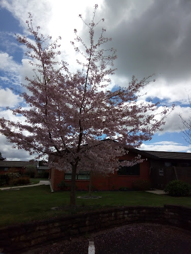 Cherry Blossom Cafe, Eventide, - Tamahere