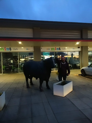 Oki Sushi & Fusion Bulls - Bulls