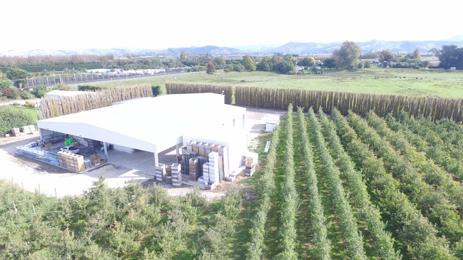 Riverland Fruit Company - Gisborne