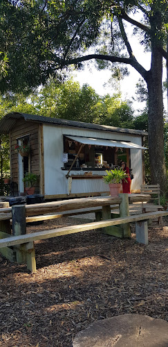 Palmville Coffee Co - Hospitality and gastronomy