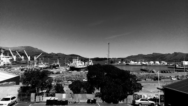 Lyttelton Coffee Co. Phone number