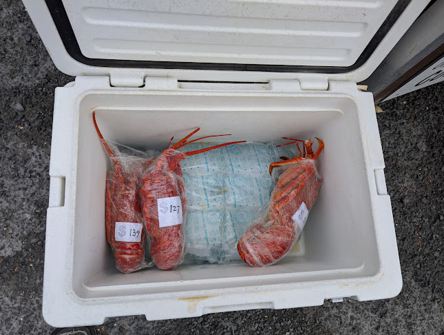 Kaikoura Seafood BBQ Kiosk Phone number