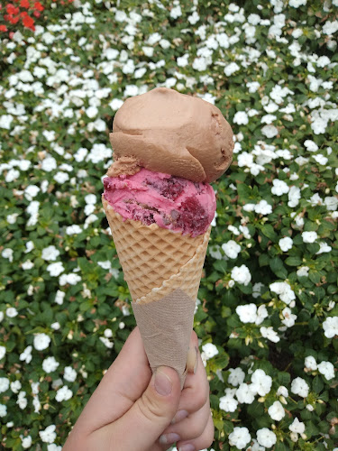 Comentarii opinii despre Duck Island Ice Cream