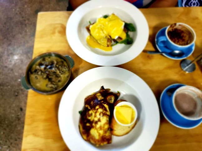 Blue Rose. Open Times