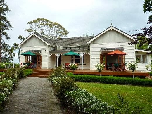 The Big Apple - Hospitality and gastronomy