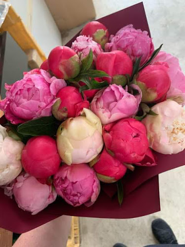 Opinii despre Peonies on Lansdowne în Appleby - Hospitality and gastronomy