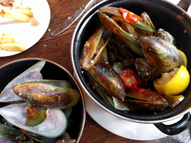 Leuven Belgium Beer Cafe