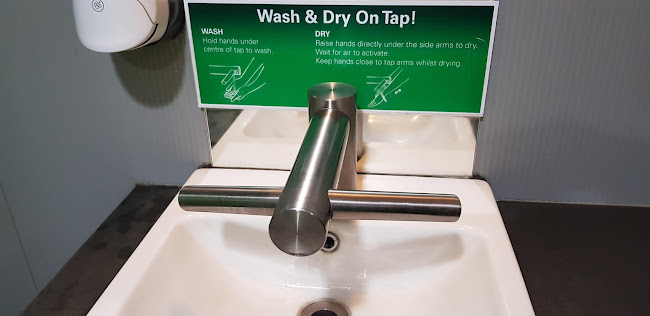 Opinii despre wildbean cafe în Tauranga - Hospitality and gastronomy