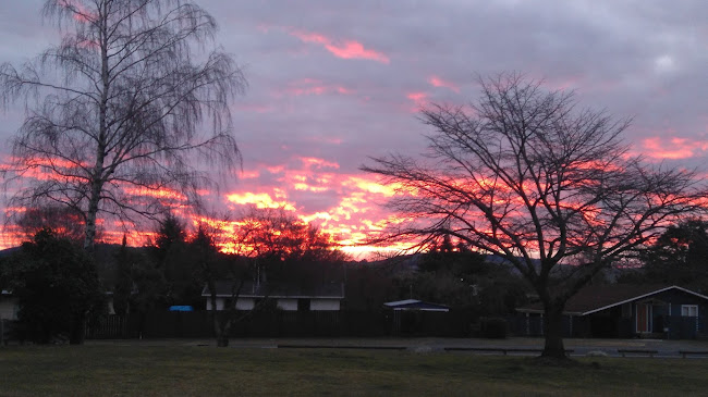 Lucky Lizard Tavern Bar & Grill - Hospitality and gastronomy