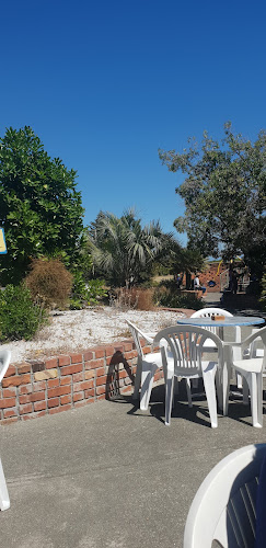 Beach Cafe and Bar - Hospitality and gastronomy