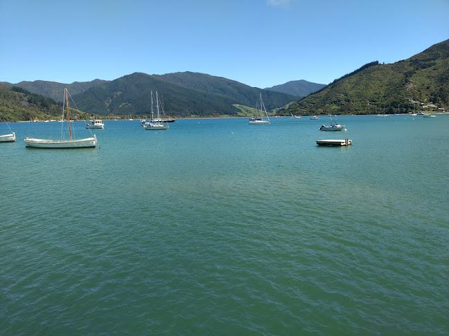 Green Caravan Cafe - Hospitality and gastronomy