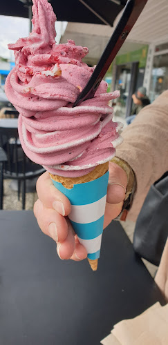 Comentarii opinii despre Yo and Co.