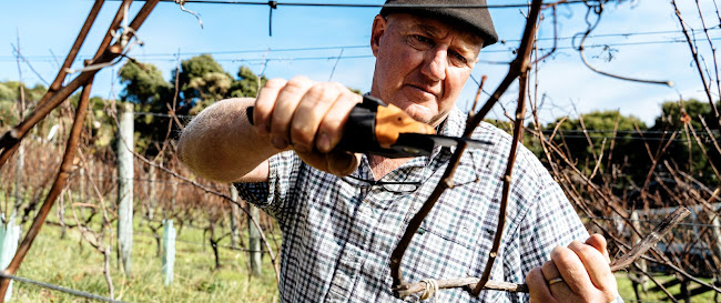 Comentarii opinii despre Frenchman's Hill Estate