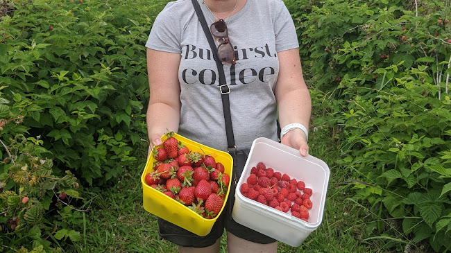 R n' Bees Berry Farm