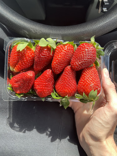 Barefoot Gardens - Kumeū