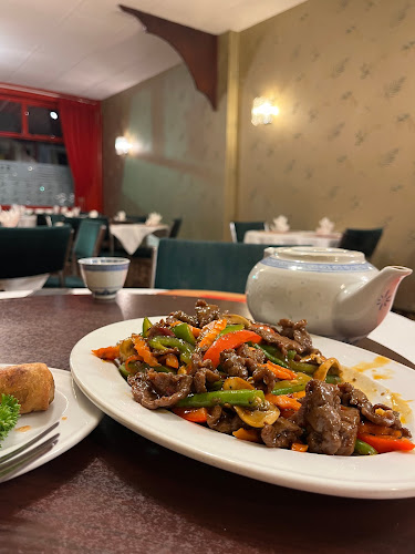 Reviews of Canton Restaurant in Invercargill - Hospitality and gastronomy