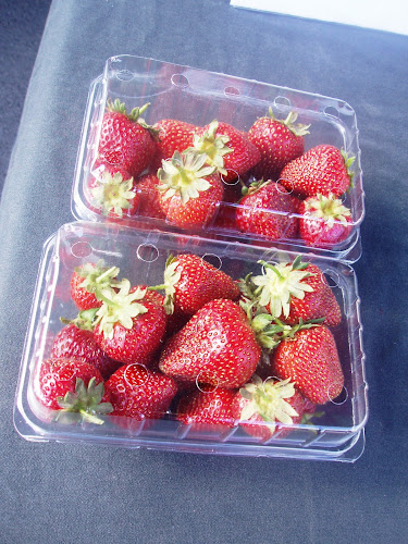 Comentarii opinii despre South Christchurch Farmers' Market