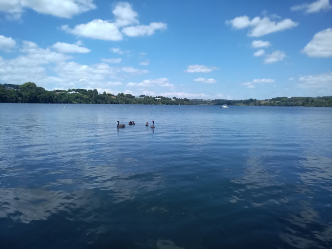 Podium Cafe - Hospitality and gastronomy