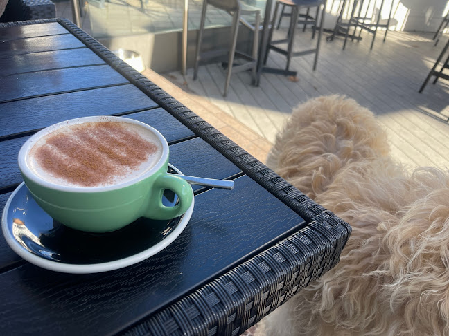 Reviews of The Thirsty Peacock in Christchurch - Hospitality and gastronomy