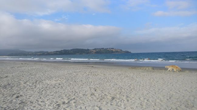 Omaha beach parking/dairy - Hospitality and gastronomy