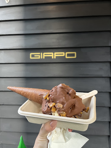 Comentarii opinii despre Giapo