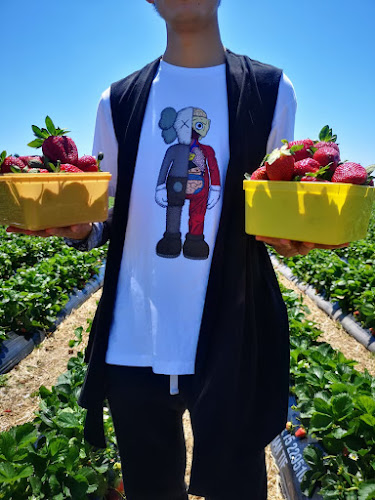 R n' Bees Berry Farm Phone number