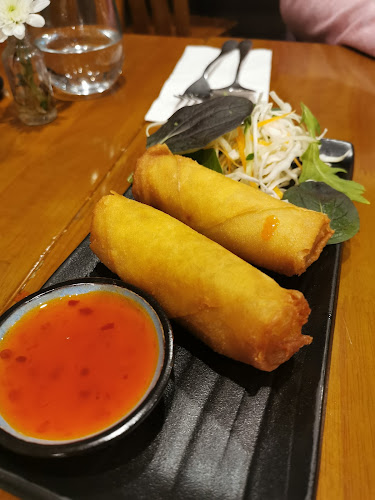 Comentarii opinii despre Thai Terrace