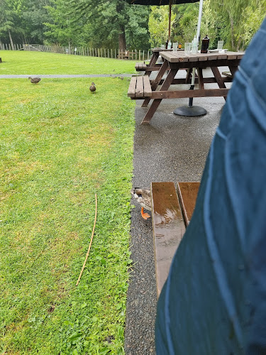 Comentarii opinii despre Scholars Cafe