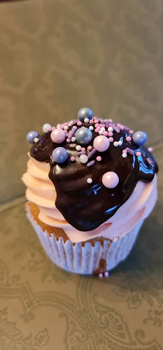 The Cheesecake Shop Napier Open Times