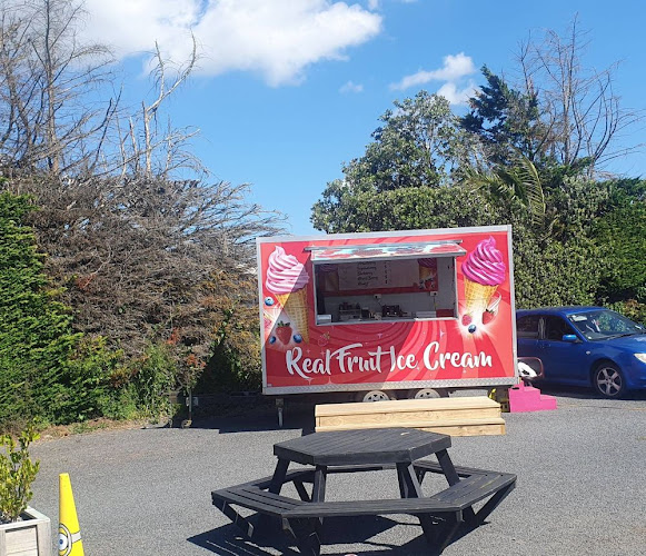 RealFruit Icecream Tuakau - Hospitality and gastronomy