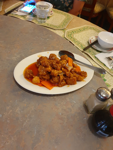 Opinii despre China City Restaurant în Upper Hutt - Hospitality and gastronomy