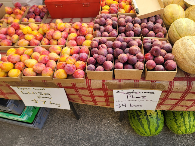 Coronation Hall 45 The Centre, Waipu 0510, New Zealand