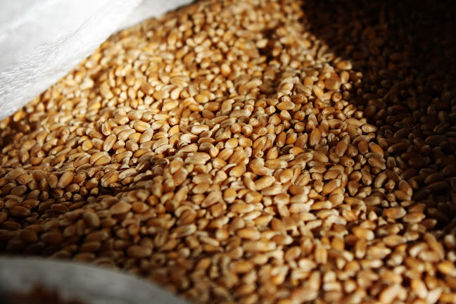 The People's Bread Co.