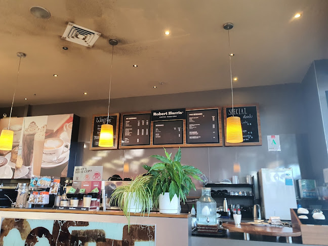 Robert Harris Cafe Albany