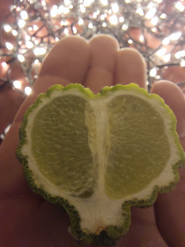 Opinii despre The Bottle O Tuakau în Tuakau - Hospitality and gastronomy