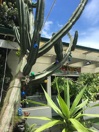 Bonz Place - Hospitality and gastronomy