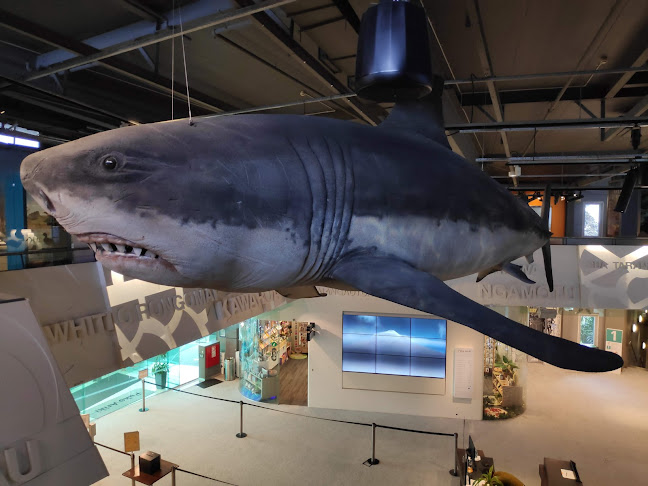 Arborio Restaurant, Cafe & Terrace Bar - Hospitality and gastronomy