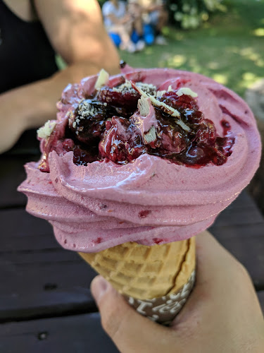 The Berry Shop & Cafe - Hospitality and gastronomy