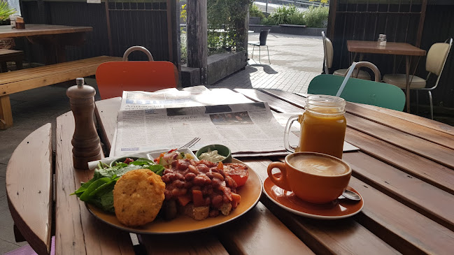 The Shroom Room - Hospitality and gastronomy