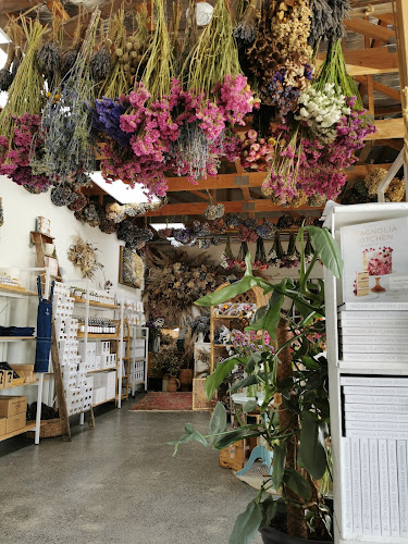 Magnolia Kitchen - Hospitality and gastronomy