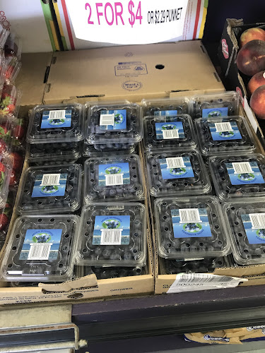 41 Bute Road, Browns Bay, Auckland 0630, New Zealand