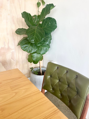 Coffee on Ascot - Palmerston North