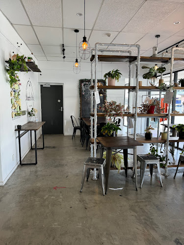 Noah's Ark Teahouse Lower Hutt - Hospitality and gastronomy