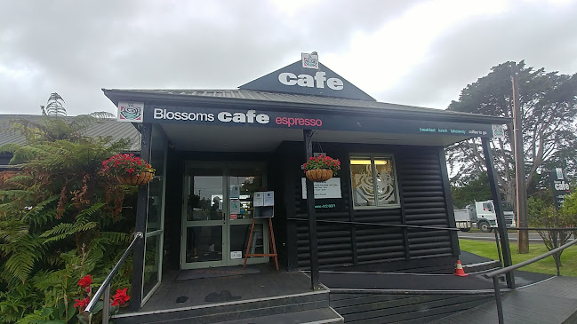 Blossoms Cafe - Hospitality and gastronomy