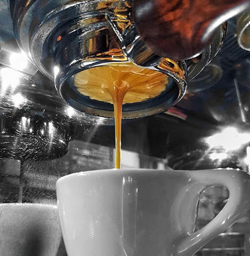 Comments and reviews of Mud Ducks