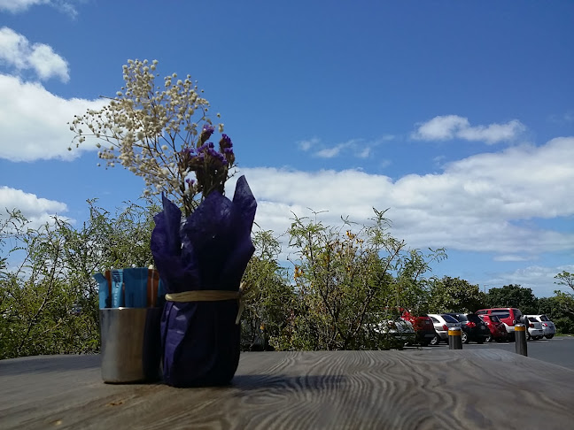 Little Wonder - Auckland