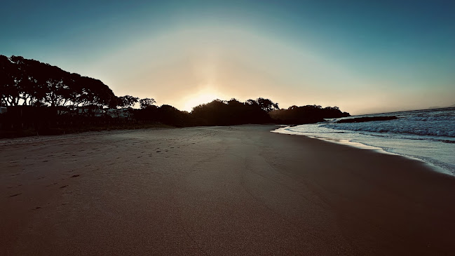 Zippys cafe and Ice cream truck Phone number