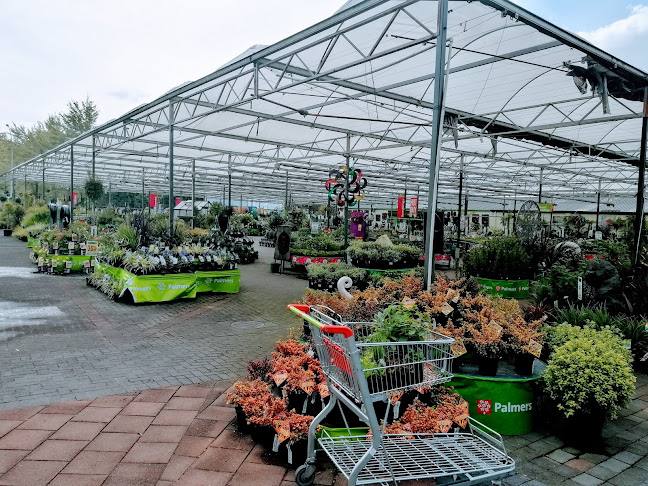 Shadehouse Cafe - Hospitality and gastronomy